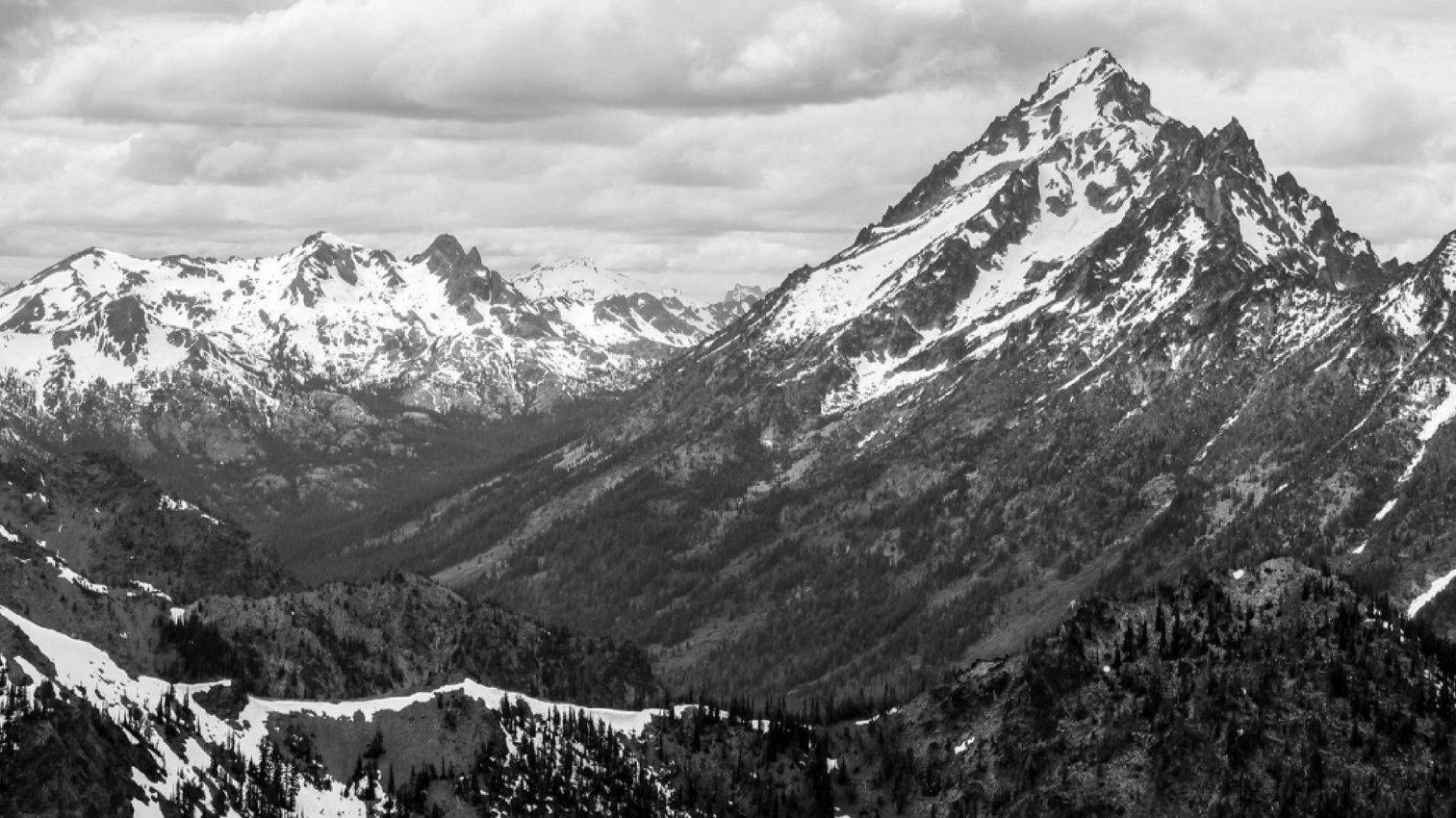 FITS Featured in New Ski Conditioning Book - Available Now!