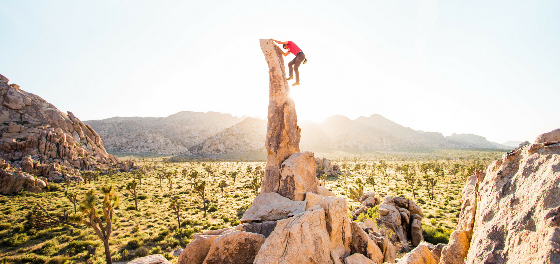 In the Wild: Aiguille De Joshua Tree