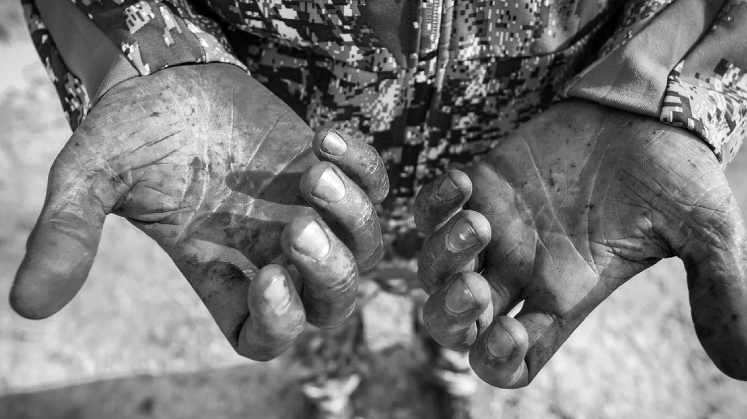 In the Wild: Stewards of the Land