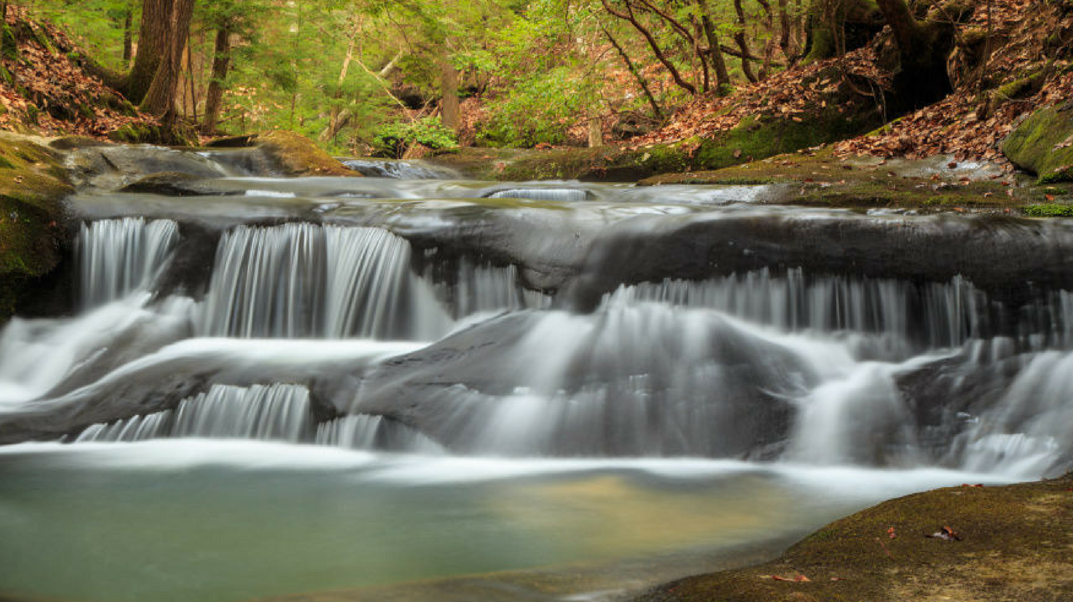 The 650-Mile Alabama Trail: Coming Soon to a Town Near You
