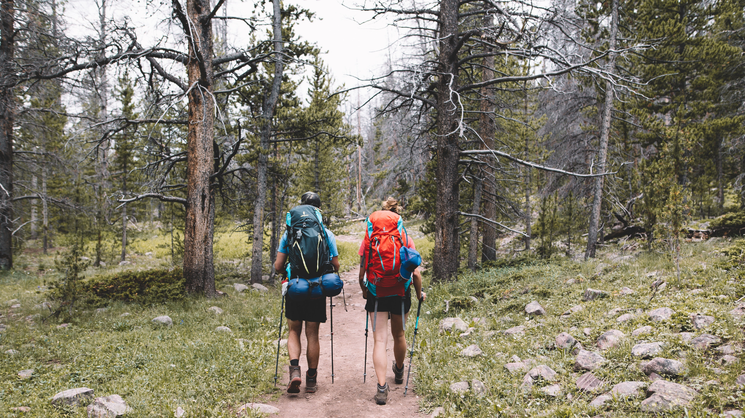 Becoming One in Seven Billion With Craig Fowler