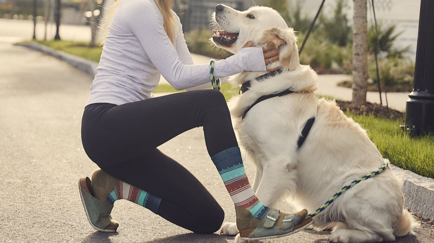 7 Fall Favorites We’re Excited For This Season