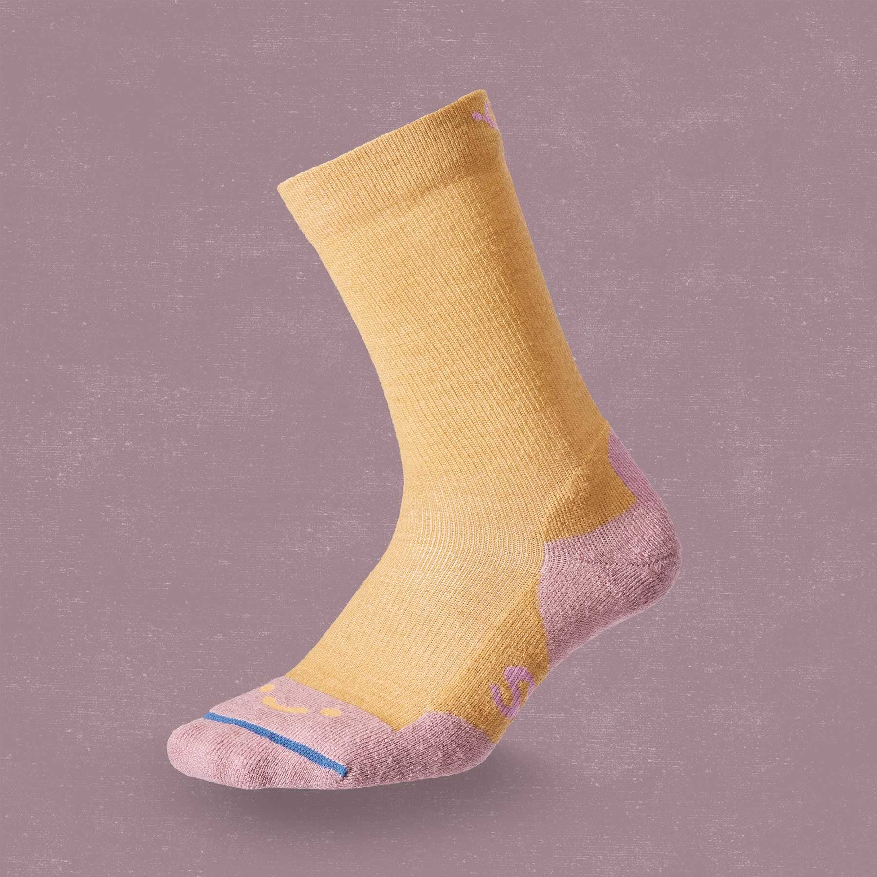 FITS Seasonal Solids Light Cushion Crew Sock