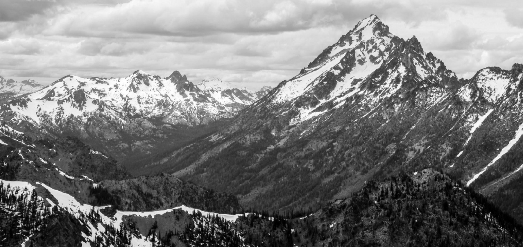 FITS Featured in New Ski Conditioning Book - Available Now!