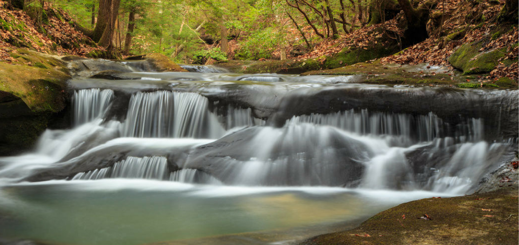 The 650-Mile Alabama Trail: Coming Soon to a Town Near You