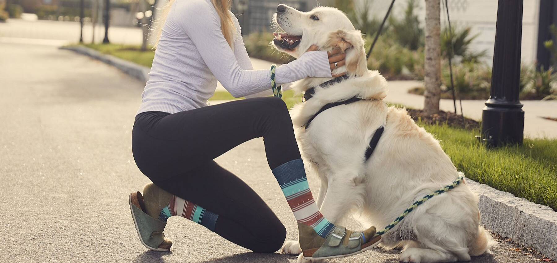 7 Fall Favorites We’re Excited For This Season